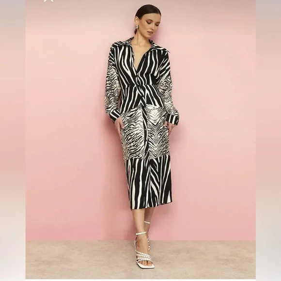 Nocturne | Dresses | Nocturne Zebra Print Midi Size 38 | Poshmark
